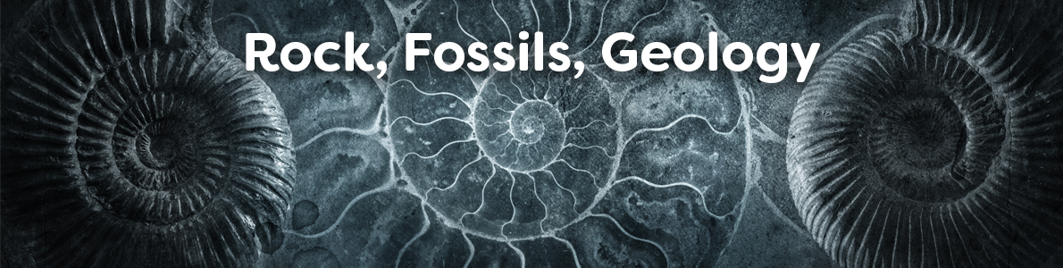 Rocks, Fossils, Geology Books